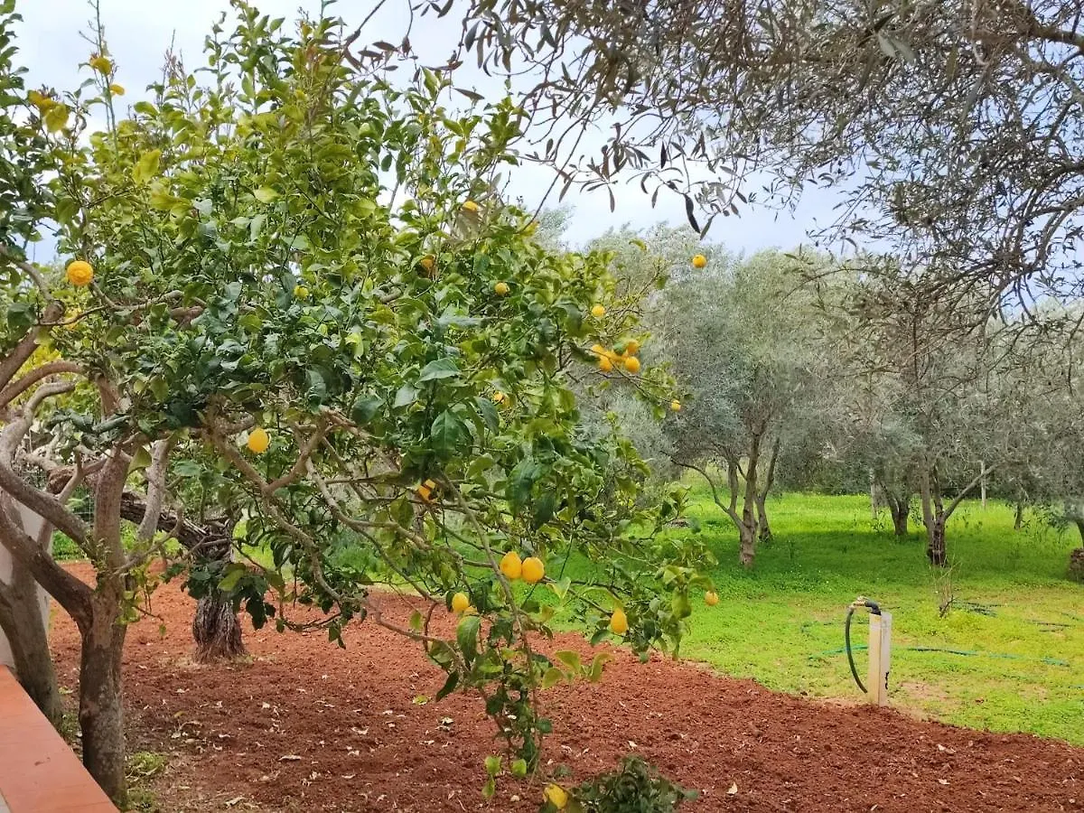 Appartement Casa Vacanze Da Nonna Mela Alghero